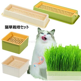 水耕栽培猫草 ボックス 猫草栽培キット 正方形 長方形 2個セット 猫草プランター 猫草栽培セット ネコ草 ねこ草 毛玉ケア 水植物 スプラウター 発芽コンテナー お手入れ用品 グリーン ベージュ