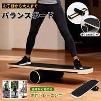 楽天市場】セグウェイ バランスボードの通販