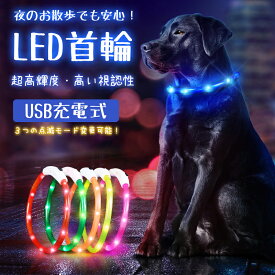 【10%OFFクーポン】光る首輪 犬 LED首輪 レインボー 虹色 発光首輪 夜間 首輪 散歩 安全 事故防止 充電式 USB充電式 サイズ調整可能 犬猫 夜散歩ライト 軽量 安全対策 視認性 蛍光 小型犬 中型犬 大型犬 おしゃれ かわいい 猫 ライト LEDライト 点灯 点滅 カット 防水 散歩用