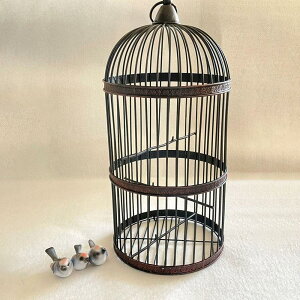 ybgpi  ACA o[h P[W 53cm Ot  U ubN fBXvC Be[W CeA o[hQ[W