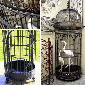 ybgpi  ACA o[h P[W 98cm cqt  U ubN fBXvC J S Be[W CeA o[hQ[W 