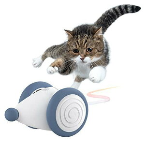 L̃C^YF L  Lp ˂ Lp̂  EBLbh dlY~ }EX Lpi  ˂  v[g