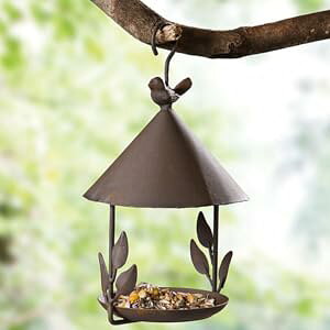 yɏo[htB[_[zAeB[N ݂艺^ 쒹p a nMOtbNt OCeA ACA X^C