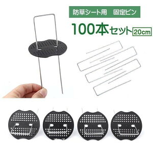 핢މŒs100{ZbghV[gpR^U^stGh~V[gŐlHDIY20cm