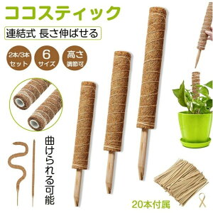 モンステラ 支柱 ココスティック 観葉植物 支柱 園芸支柱 植物 ガーデニング用 花ささえ ココナッツ支柱 植物サポート つる性植物 トマト ポトス 支柱 園芸用 園芸支柱パーツ 高さ調整可 コ