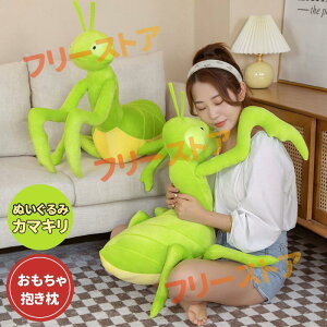 ʂ J}L ߑ   AV[Y gC V~[V J}L D v[g u 70×50cm