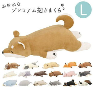  ʔ  傫 킢 NbV