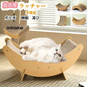 L܂Ƃ ܌ Lpi L XgX ^s΍ ybgVѓ lGKp LXNb`[ ԑΉ  @\