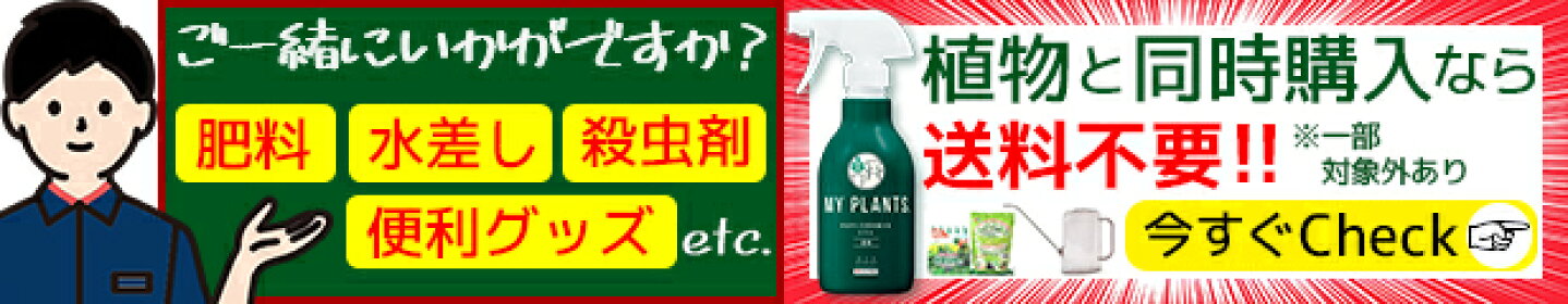 育成グッズ 植物と同時購入なら送料不要！！