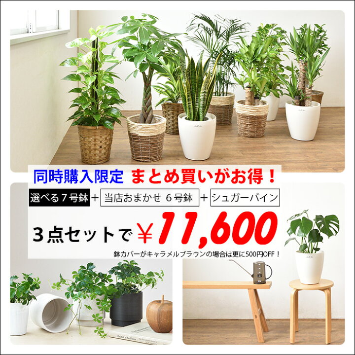 Jblknrhontxjnm Jblknrhontxjnm