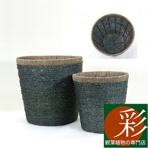 y1101:59܂Ń|Cg2{zJo[ 8pifB[vu[j AWA  ϗtAJo[/gsJ/_/X^CbV/CeA/zj/JXj/Vzj/j