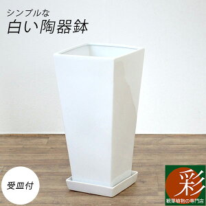 植木鉢 陶器 スクエア プランターの人気商品 通販 価格比較 価格 Com