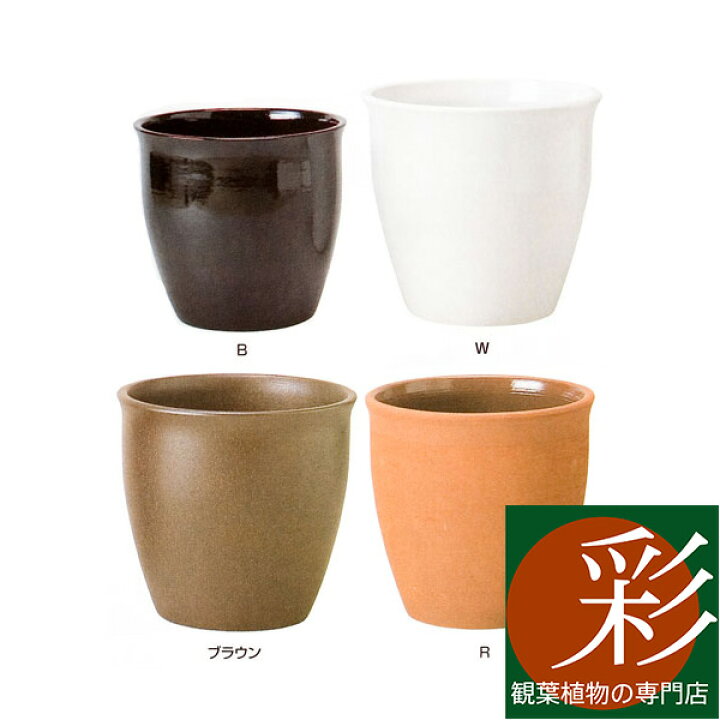 楽天市場 観葉植物 鉢カバー 陶器 ジュネスj 6 8号鉢用 インテリア おしゃれ 観葉植物 観葉植物の専門店 彩植健美
