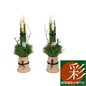 楽天市場 正月飾り 観葉植物 花 観葉植物 花 ガーデン Diyの通販