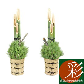 楽天市場 門松 販売の通販