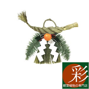 しめ縄 (超特大) 関西向け しめなわ 玄関用 天然本わら使用 無着色 お正月飾り おしゃれ 販売 生花 お飾り 国産 送料無料 大阪 京都 玄関 会社 仕事始め 企業 御用始め 神社 家庭 実家 ゴンボ