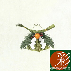 しめ縄 (中) 関西向け しめなわ 玄関用 天然本わら使用 無着色 お正月飾り おしゃれ 販売 生花 お飾り 国産 送料無料 大阪 京都 玄関 会社 仕事始め 企業 御用始め 神社 家庭 実家 ゴンボ