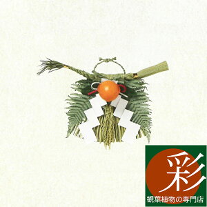 しめ縄 (小) 関西向け しめなわ 玄関用 天然本わら使用 無着色 お正月飾り おしゃれ 販売 生花 お飾り 国産 送料無料 大阪 京都 玄関 会社 仕事始め 企業 御用始め 神社 家庭 実家 ゴンボ