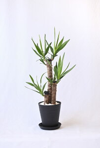 ϗtA bJEGt@eByX 7 ZA[g ^ N̖ ϗtA bJ { j JXj ړ]j Vzj zj CeA ubN zCg Z[g 