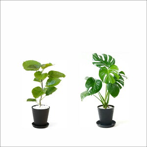 ϗtA { 6+6 2Zbg ZA[g Xe TXxA K̖ Ex[^ NVAE[A bJ AJV AXE  ubN zCg Z[