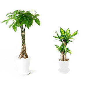 ϗtA { 8+6 2Zbg ZA[g ^ pL Xe bJ K̖ TXxA |gX KW} AJV QbLc ubN zCg CeA  