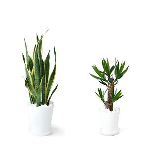 ϗtA { 8+6 2Zbg ZA[g ^ pL Xe bJ K̖ TXxA |gX KW} AJV QbLc ubN zCg CeA  