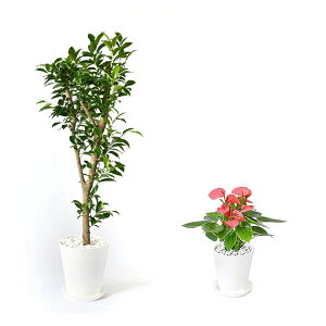 ϗtA { 8+6 2Zbg ZA[g ^ pL Xe bJ K̖ TXxA |gX KW} AJV QbLc ubN zCg CeA  