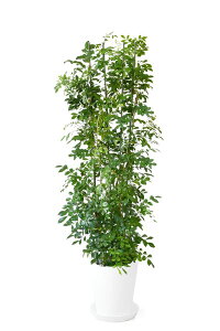 y1101:59܂Ń|Cg2{zVNWX~ ϗtA QbLc 10 ZA[g ϗtA QbLciVNWX~j { ^ CeA j JXj Vzj zj 