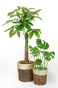 ϗtA { 8+6 2Zbg Jo[t ^ pL Xe TXxA CeA K̖ bJ NVA U~INJX AJV AXE |gX I[KX^ 