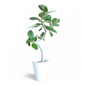 y1101:59܂Ń|Cg2{zϗtA { `tBJXxKVXZA[g 5 CeA JXj ړ]j AWA  zj ubN zCg Z[g 