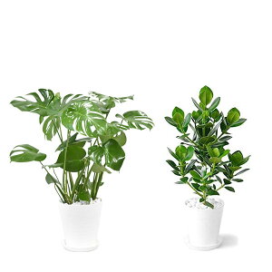 ϗtA { 8+6 2Zbg ZA[g ^ pL Xe bJ K̖ TXxA |gX KW} AJV QbLc ubN zCg CeA  