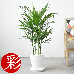 y2701:59܂Ń|Cg2{zϗtA pL ^{ Iׂ ZA[g 7 TXxA QbLc K̖ LVRP`V  CeA JXj ړ]j  u