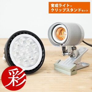 y2401:59܂100~N[|zzzϗtAp琬Cg{NbvX^hZbg PLANTS NEXLIGHT PAR30 LEDd E26p 100V 10.5W A琬Cg F dF NbvX^he CLIP STA