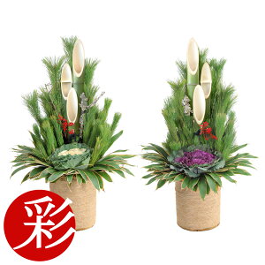 y1101:59܂Ń|Cg2{z{i 叼ij1.2m 120cm isƋߍx݂̂͂jׂănhCh̖{ih 2y叼zy^z̔ ʔ/ 叼̔ ϗtA  1