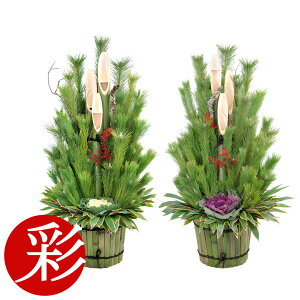 y1101:59܂Ń|Cg2{z{i 叼ij1.5m 150cm isƋߍx݂̂͂jׂănhCh̖{ih  2 ǂ܂ y叼zy^z̔Eʔ/ ̖叼