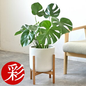 y2701:59܂P2{+ő3%N[|zzzϗtA { Iׂ 6 Jo[t Xe TXxA AXE bJ K̖ NVA U~INJX AJV hZ