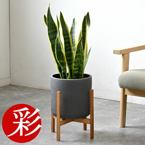 ϗtA TXxAE[eB[ 6 Iׂ锫Jo[t ^ { ϗtA TZxA [`[ CeA AWA j JXj ړ]j Vzj  ItBX 