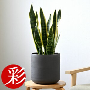 ϗtA { Iׂ 6 Jo[t Xe TXxA AXE bJ K̖ NVA U~INJX AJV hZiEWF CeA JXj ړ]j 