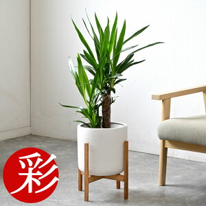 ϗtA { Iׂ 6 Jo[t Xe TXxA AXE bJ K̖ NVA U~INJX AJV hZiEWF CeA JXj ړ]j 