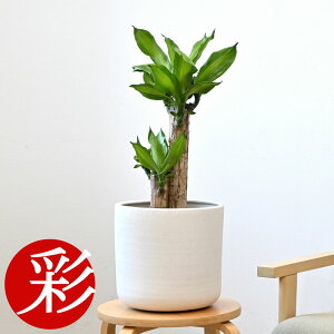 y1101:59܂Ń|Cg2{zϗtA { Iׂ 6 Jo[t Xe TXxA AXE bJ K̖ NVA U~INJX AJV hZiEWF C