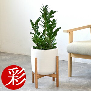 yy3%N[|zzzϗtA { Iׂ 6 Jo[t Xe TXxA AXE bJ K̖ NVA U~INJX AJV hZiEWF 