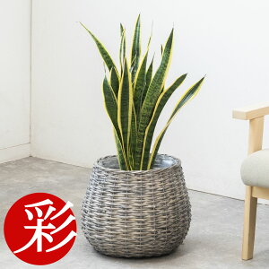 ϗtA { Iׂ 7 Jo[t pL ^ TXxA Xe xKVX KW} K̖ bJ Ex[^ QbLc hZi WF CeA JXj 