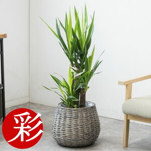 ϗtA { Iׂ 7 Jo[t pL ^ TXxA Xe xKVX KW} K̖ bJ Ex[^ QbLc hZi WF CeA JXj 