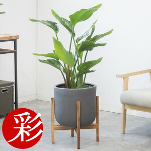 y15܂Ń|Cg3{zϗtA { Iׂ 7 Jo[t pL ^ TXxA Xe xKVX KW} K̖ bJ Ex[^ QbLc hZi WF