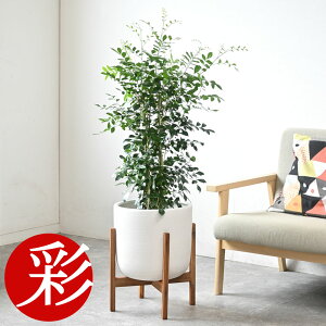 y7܂3N[|zzzϗtA { Iׂ 7 Jo[t pL ^ TXxA Xe xKVX KW} K̖ bJ Ex[^ QbLc hZ