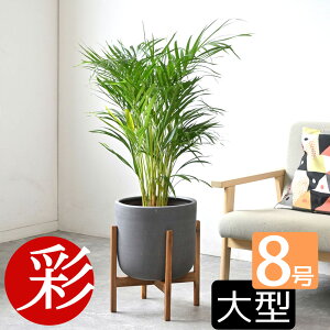 y7܂3N[|zzzϗtA { Iׂ 8 Jo[t ^ pL TXxA AJV |gX pL ϗtA I[KX^ QbLc bJ  CeA 