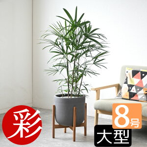 y7܂3N[|zzzϗtA V`N L| 8 Iׂ锫Jo[t ^ ϗtA VE { a CeA JXj ړ]j Vzj j AWA A  