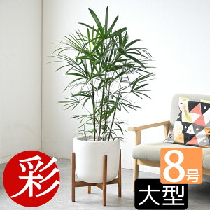 y1101:59܂Ń|Cg2{zϗtA V`N L| 8 Iׂ锫Jo[t ^ ϗtA VE { a CeA JXj ړ]j Vzj j AWA A  It