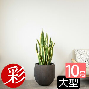 y21܂P2{+ő3%N[|zzzϗtA TXxAE[eB[ 10 ^ { t@Co[Xg[()Jo[t TZxA [`[ j JXj ړ]