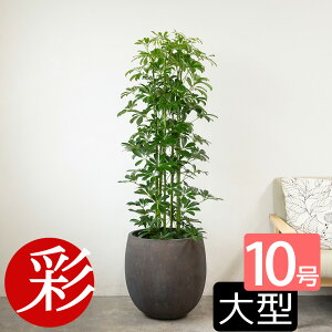 y9/30܂1,000~N[|zzzϗtA ^ zRJ|bN 10 { Iׂ锫Jo[t j CeA AWA a ϗtA J|bN JXj ړ]j Vzj z
